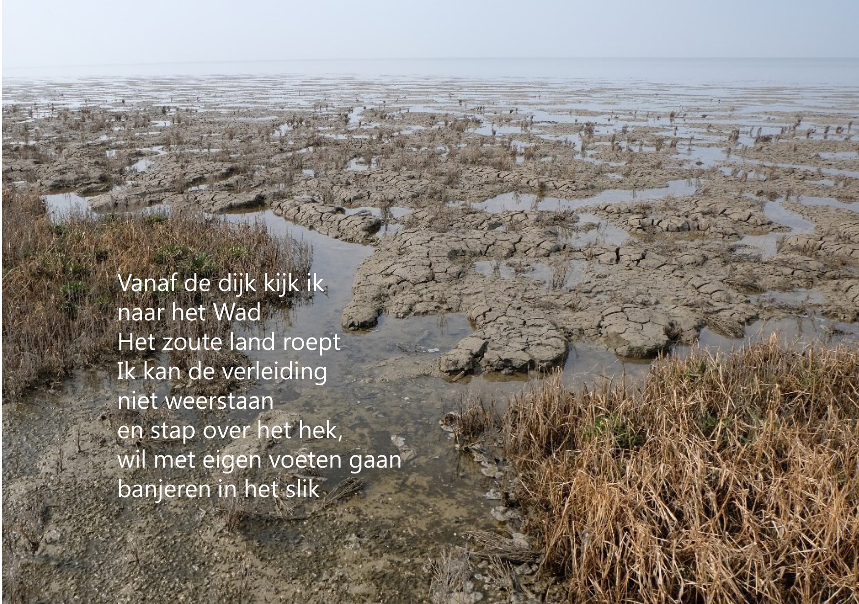 Banjeren in het slik
